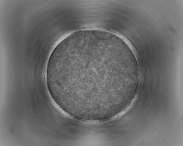 X0000111000957200907171810