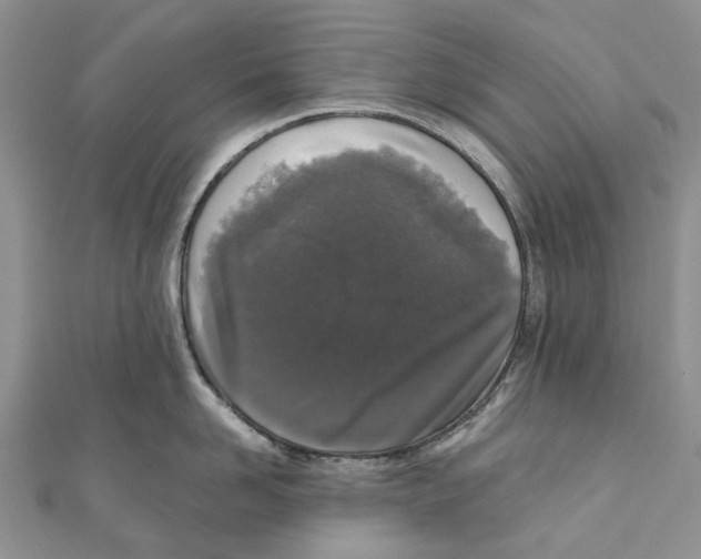 X0000111000958200907171810