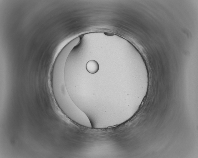 X0000111000960200907171810