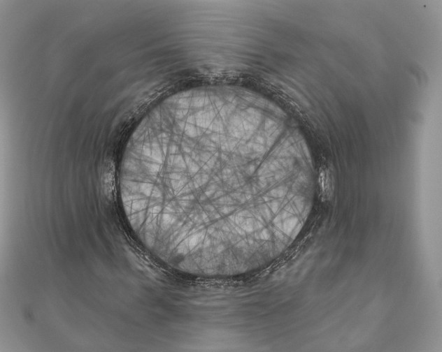 X0000111000963200907171810