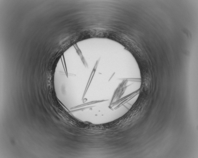 X0000111000964200907171810