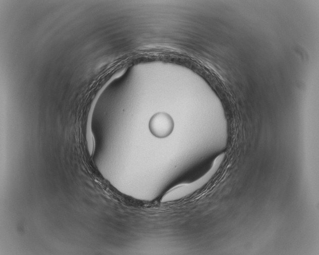 X0000111000965200907171810