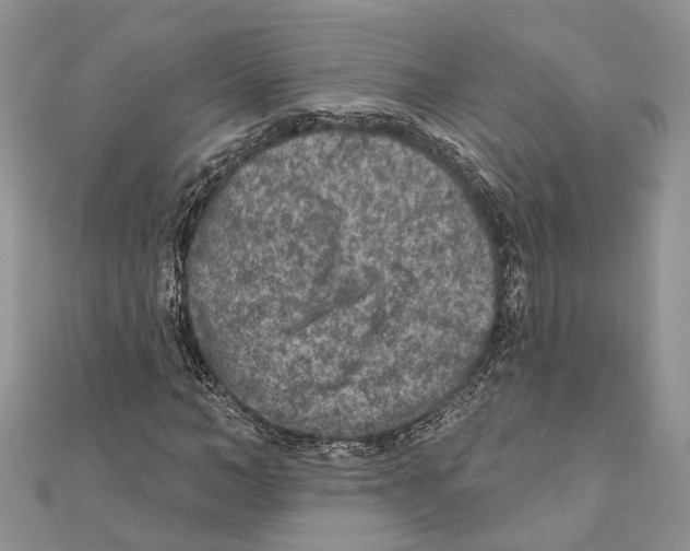 X0000111000966200907171810