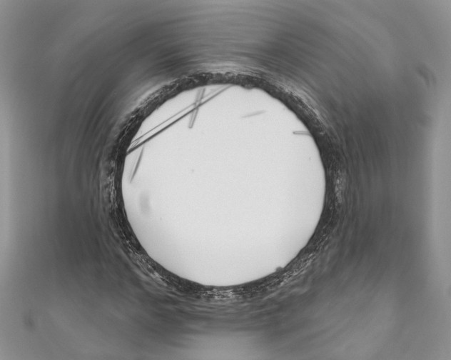 X0000111000968200907171810