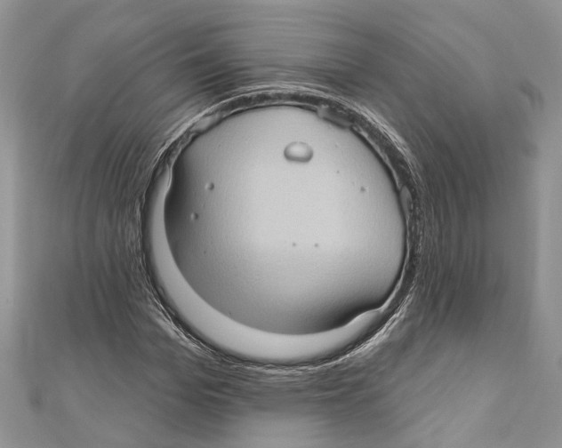 X0000111000969200907171810