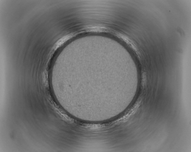 X0000111000970200907171810