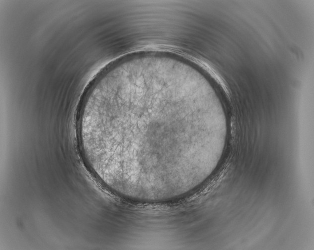 X0000111000972200907171810