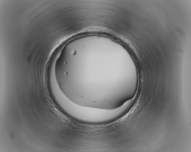 X0000111000973200907171810