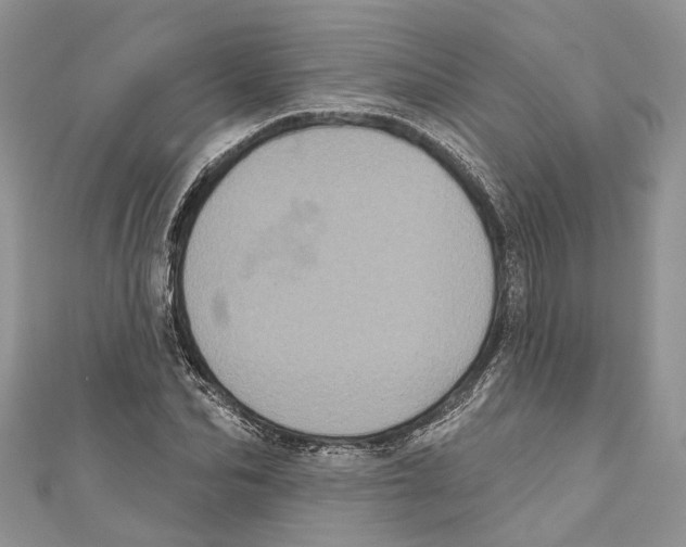 X0000111000974200907171810