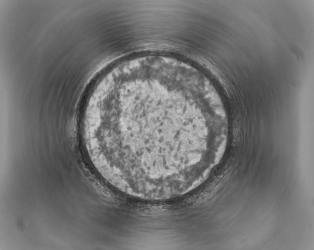 X0000111000975200907171810