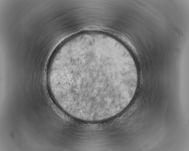 X0000111000976200907171810