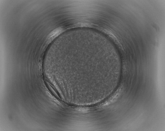 X0000111000977200907171810