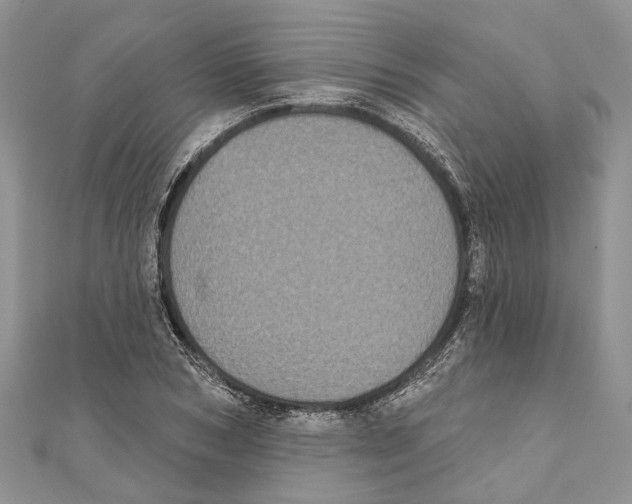 X0000111000978200907171810