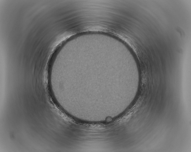 X0000111000979200907171809