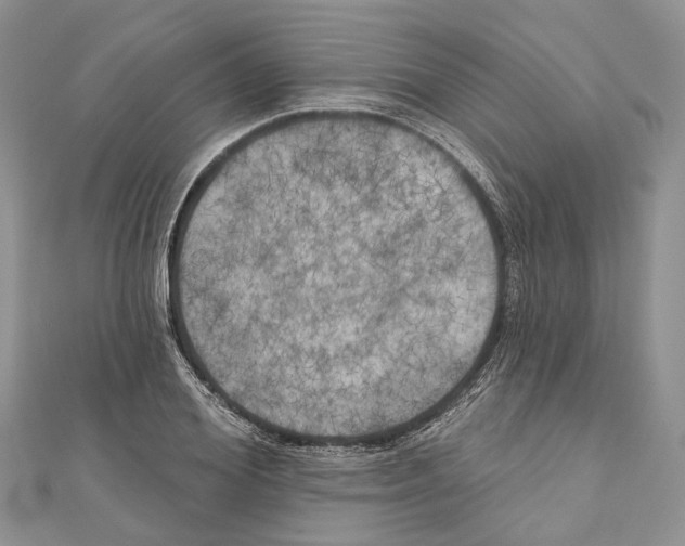 X0000111000980200907171809