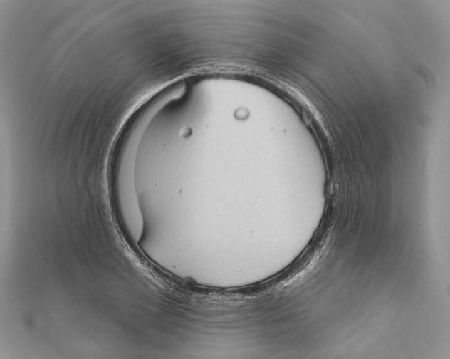 X0000111000981200907171809