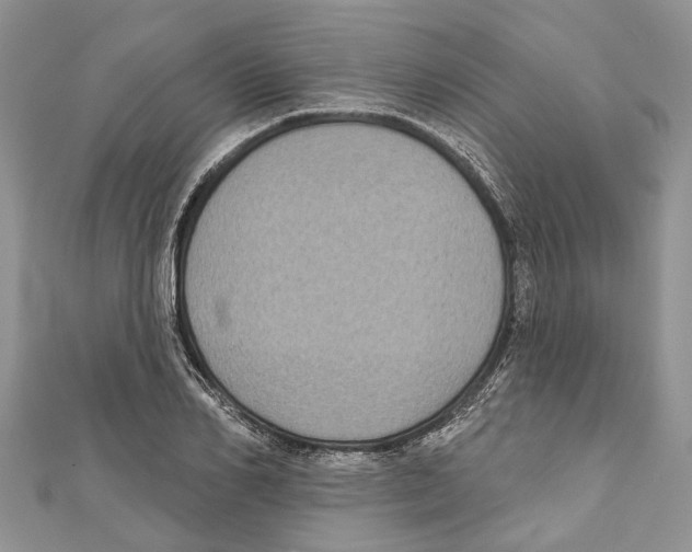 X0000111000982200907171809