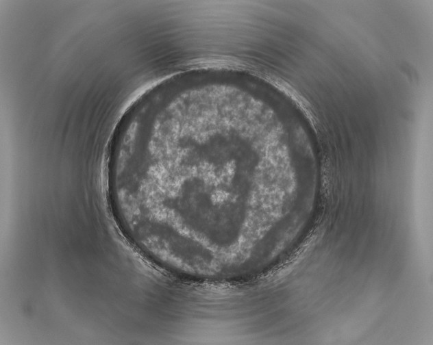 X0000111000983200907171809