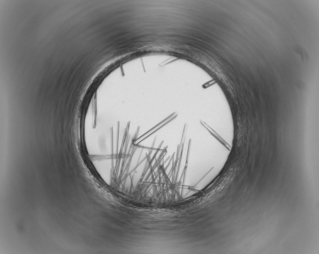 X0000111000984200907171809