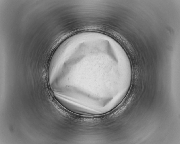 X0000111000985200907171809