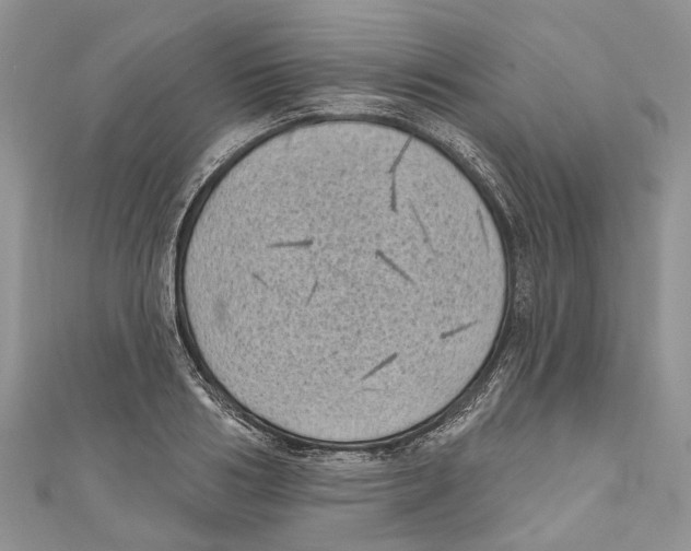 X0000111000986200907171809