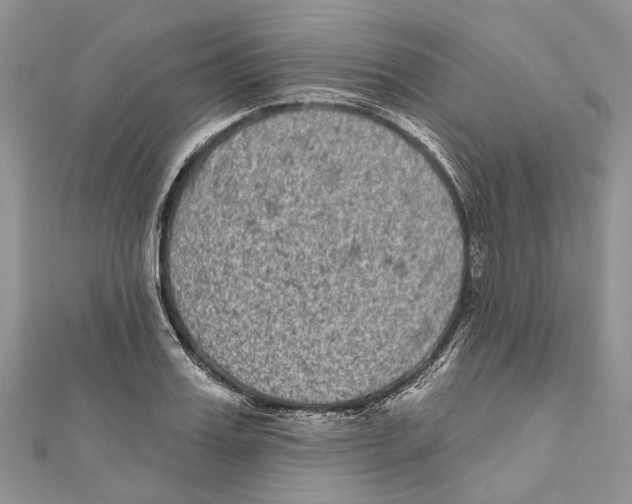 X0000111000987200907171809