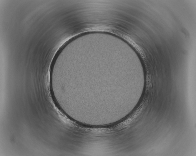 X0000111000988200907171809