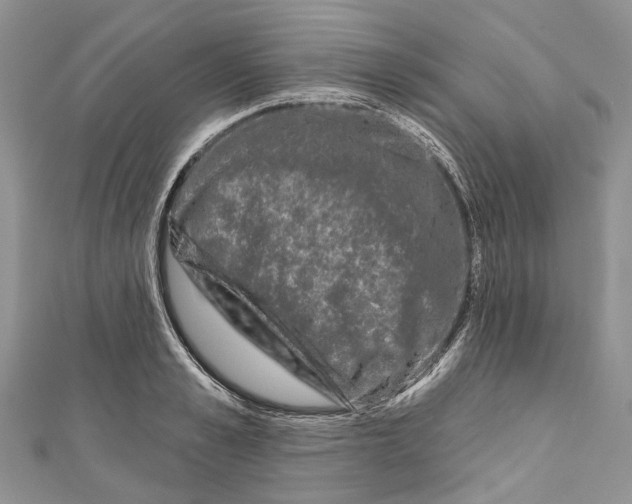 X0000111000989200907171809