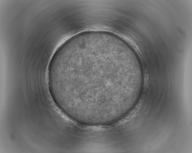 X0000111000990200907171809