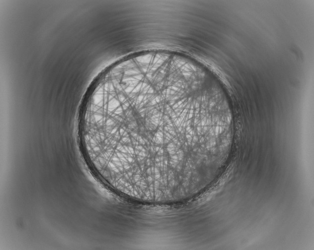 X0000111000991200907171809