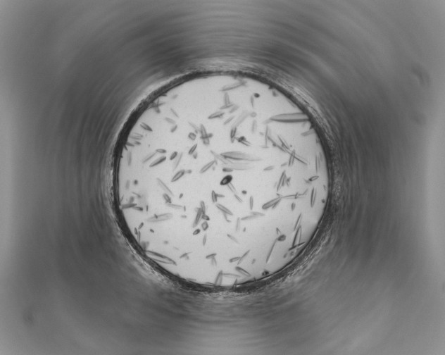 X0000111000992200907171809