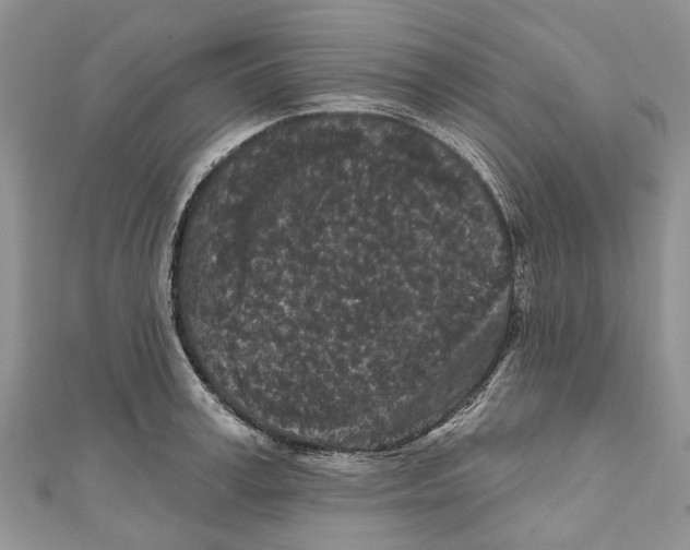 X0000111000995200907171809