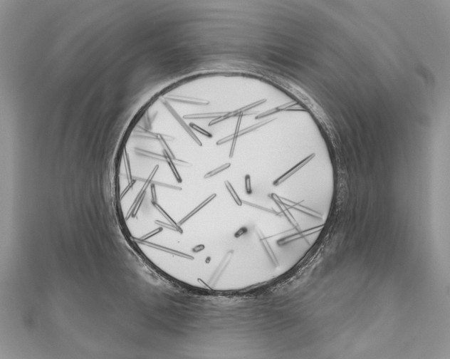 X0000111000996200907171809