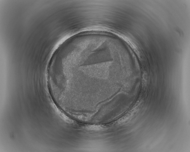 X0000111000998200907171809