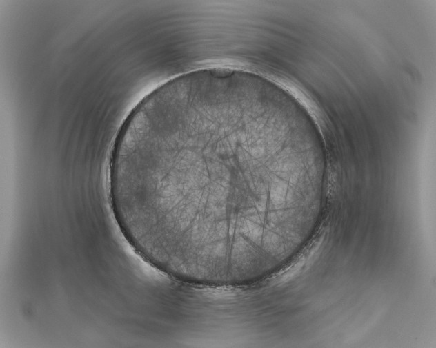 X0000111000999200907171809