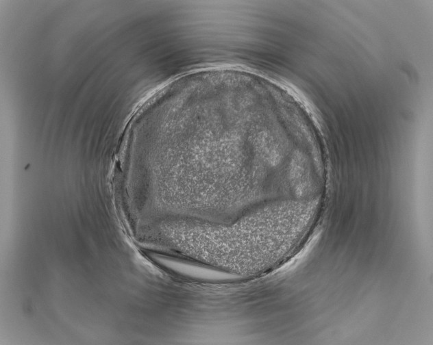 X0000111001001200907171809