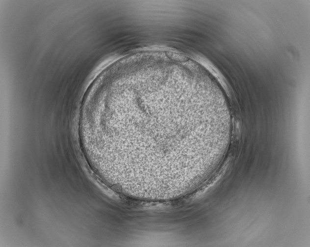 X0000111001002200907171809