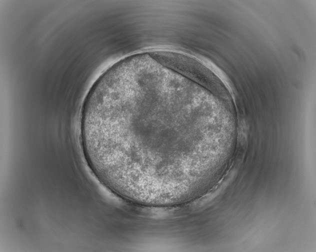 X0000111001005200907171809