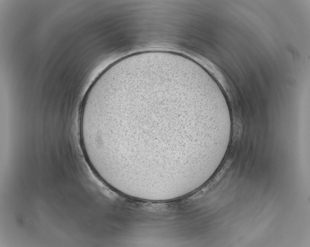 X0000111001006200907171809