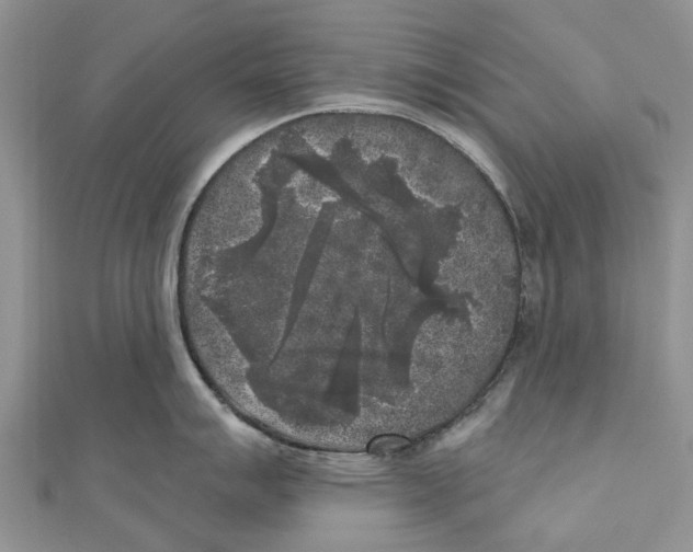 X0000111001007200907171809