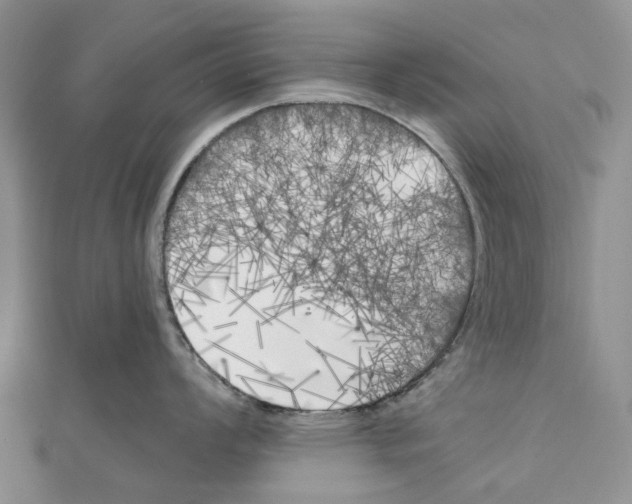 X0000111001008200907171809