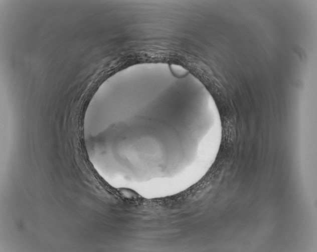 X0000111001009200907171808