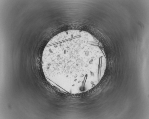 X0000111001010200907171808