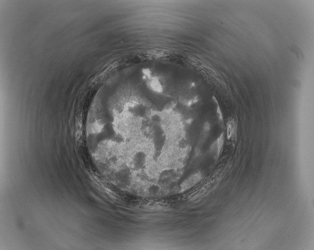 X0000111001011200907171808