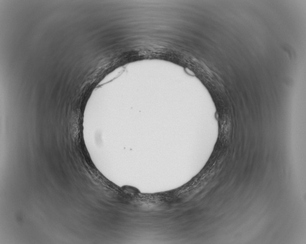 X0000111001012200907171808