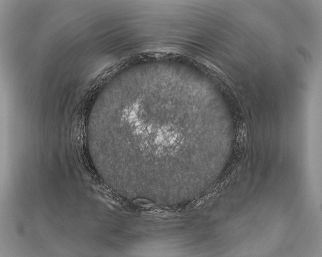 X0000111001014200907171809