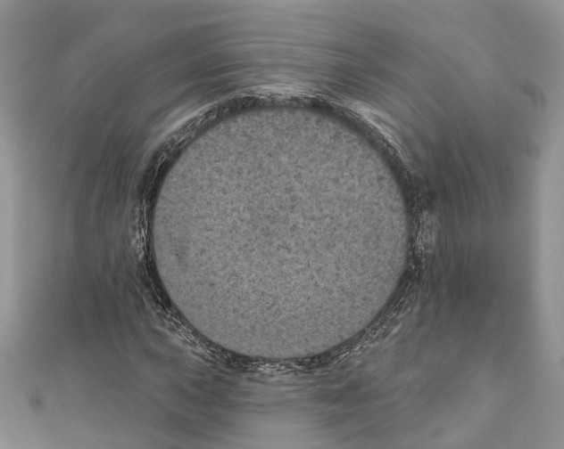 X0000111001015200907171809