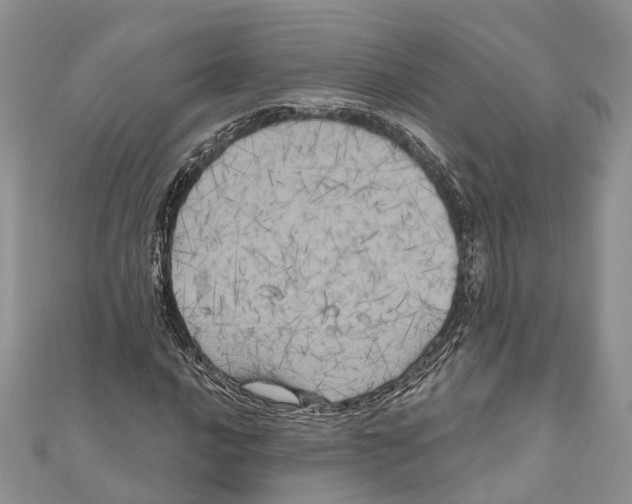 X0000111001016200907171809