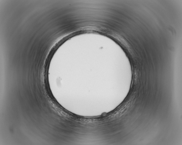 X0000111001020200907171809