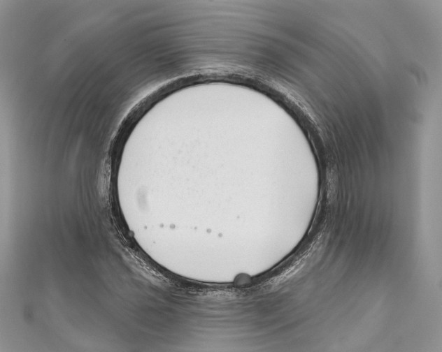 X0000111001021200907171809